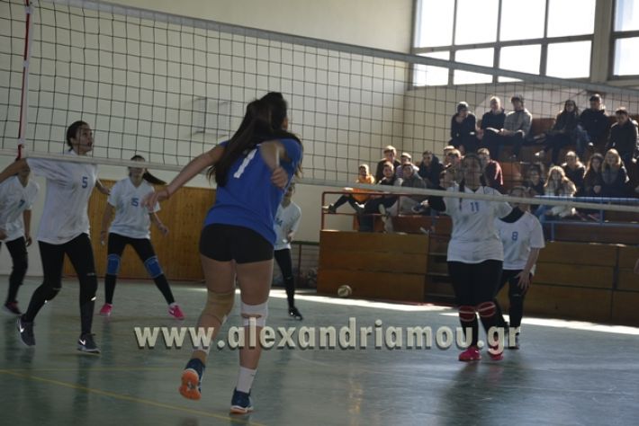 volley_1o-alexandreias-melikis2018 (55)